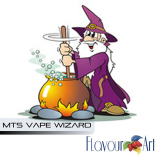 10ml FlavourART PRÍSADA - MTS Vape Wizard