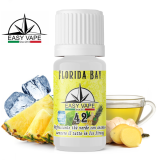 10ml EASY VAPE FLAVOR - No.42 FLORIDA BAY