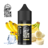 10/30ml STEAM TRAIN POD 10+20 - TERMINAL