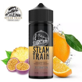 30/120ml STEAM TRAIN - DESTINATION