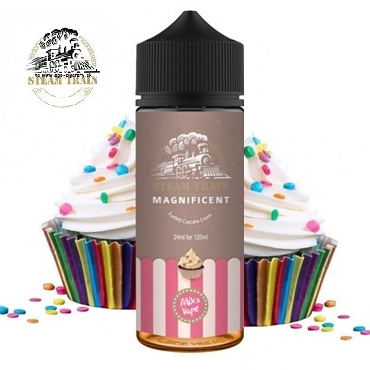 24/120ml STEAM TRAIN - MAGNIFICENT 