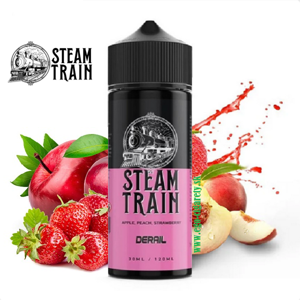 30/120ml STEAM TRAIN - DERAIL